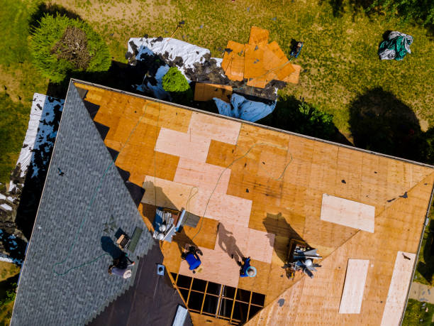 Best Roof Gutter Cleaning  in Cloverdale, VA