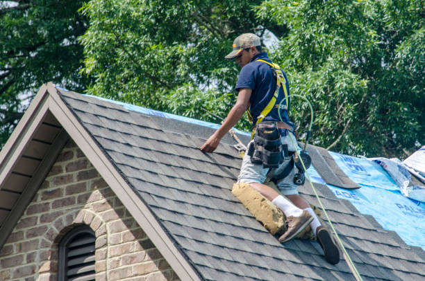 Best Roof Repair Specialists  in Cloverdale, VA